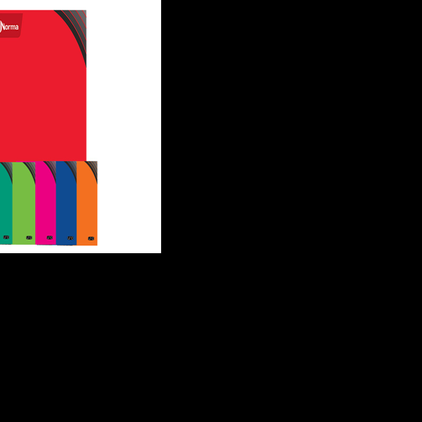 CUADERNO PROF. UNO NORMA 529989 RAYA ESP. 100H. PZA